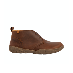 El Naturalista Turtle nilkkuri, Terra